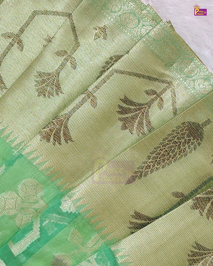 A close-up of a light green silk saree with metallic gold floral motifs and a contrasting green border.