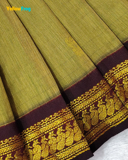 A close-up of a pleated olive green fabric, likely a sari, featuring a wide dark maroon border with an intricate gold woven floral and paisley pattern.